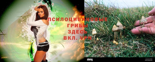 кокаин колумбия Бородино